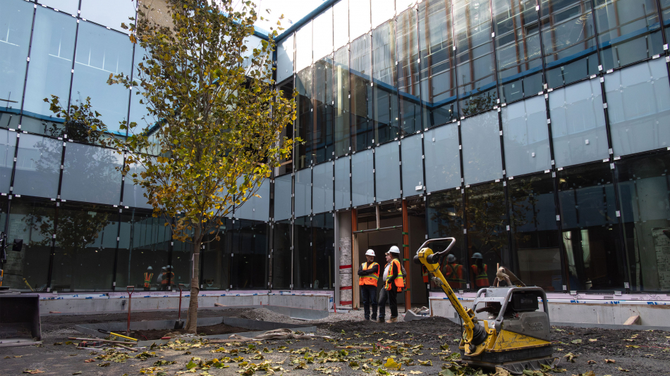 Montreal-Nord and Anjou high schools - Tree planting